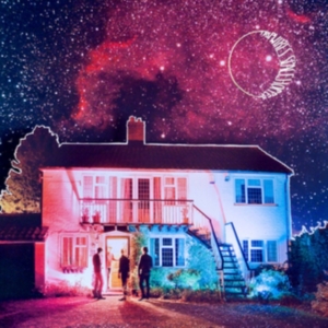 Tripwires - Spacehopper in der Gruppe VINYL / Pop-Rock bei Bengans Skivbutik AB (492839)