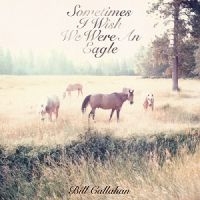 Callahan Bill - Sometimes I Wish We Were An Eagle in der Gruppe VINYL / Pop-Rock bei Bengans Skivbutik AB (493161)