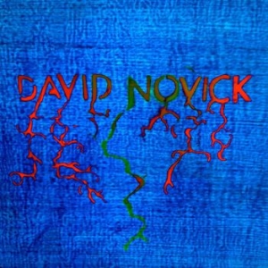 Novick David - David Novick in der Gruppe VINYL / Pop-Rock bei Bengans Skivbutik AB (505547)