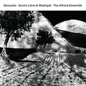 Carlo Gesualdo The Hilliard Ensembl - Quinto Libro Di Madrigali in der Gruppe Externt_Lager / Naxoslager bei Bengans Skivbutik AB (506815)