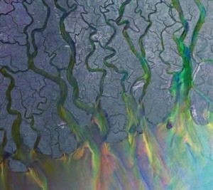 Alt-J - An Awesome Wave in der Gruppe UNSERE TIPPS / Weihnachtsgeschenktipp CD bei Bengans Skivbutik AB (511147)