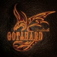 GOTTHARD - FIREBIRTH in der Gruppe CD / Pop-Rock bei Bengans Skivbutik AB (513589)