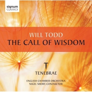 Todd - The Call Of Wisdom in der Gruppe UNSERE TIPPS / Weihnachtsgeschenktipp CD bei Bengans Skivbutik AB (519792)