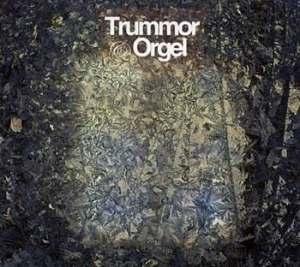 Trummor & Orgel - Visions in der Gruppe CD / Pop-Rock bei Bengans Skivbutik AB (539183)