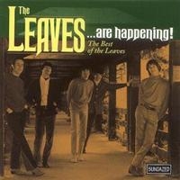 Leaves The - The Leaves...Are Happening! The Bes in der Gruppe UNSERE TIPPS / Klassiska lablar / Sundazed / Sundazed CD bei Bengans Skivbutik AB (543166)