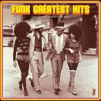 Various Artists - Funk Greatest Hits in der Gruppe VINYL / RnB-Soul bei Bengans Skivbutik AB (5505946)