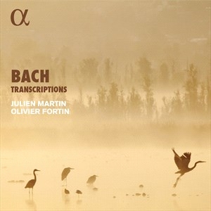 Bach Johann Sebastian - Transcriptions in der Gruppe UNSERE TIPPS / Weihnachtsgeschenktipp CD bei Bengans Skivbutik AB (5506032)