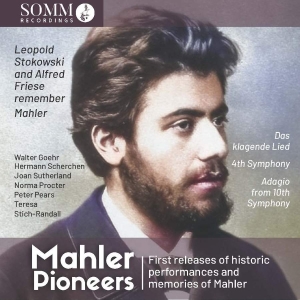 Mahler Gustav - Mahler: Pioneers in der Gruppe UNSERE TIPPS / Weihnachtsgeschenktipp CD bei Bengans Skivbutik AB (5506339)