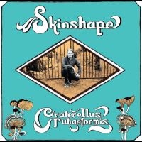 Skinshape - Craterellus Tubaeformis in der Gruppe VINYL / RnB-Soul bei Bengans Skivbutik AB (5506722)