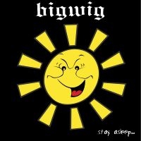 Bigwig - Stay Asleep in der Gruppe VINYL / Hårdrock bei Bengans Skivbutik AB (5507453)