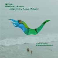 Teitur & Aarhus Jazz Orchestra - Songs From A Social Distance in der Gruppe VINYL / Jazz bei Bengans Skivbutik AB (5509291)