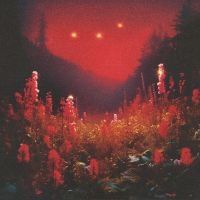 Silent Planet - Superbloom in der Gruppe VINYL / Hårdrock bei Bengans Skivbutik AB (5509939)