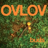 Ovlov - Buds (Green Vinyl) in der Gruppe UNSERE TIPPS / Freitagsveröffentlichungen / Fredag den 5:e Jan 24 bei Bengans Skivbutik AB (5510339)