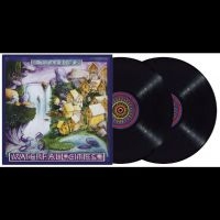 Ozric Tentacles - Waterfall Cities in der Gruppe UNSERE TIPPS / Freitagsveröffentlichungen / Fredag den 5:e Jan 24 bei Bengans Skivbutik AB (5511952)