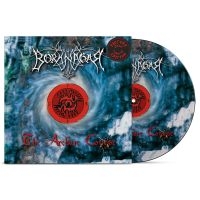 Borknagar - Archaic Course The (Picture Disc Vi in der Gruppe UNSERE TIPPS / Weihnachtsgeschenktipp Vinyl bei Bengans Skivbutik AB (5512133)