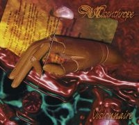 Misanthrope - Visionnaire - 25Th Anniversary Edit in der Gruppe UNSERE TIPPS / Weihnachtsgeschenktipp CD bei Bengans Skivbutik AB (5512208)