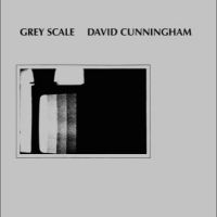 Cunningham David - Grey Scale in der Gruppe VINYL / Pop-Rock bei Bengans Skivbutik AB (5514792)