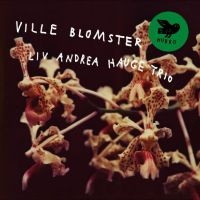 Liv Andrea Hauge Trio - Ville Blomster in der Gruppe UNSERE TIPPS / Freitagsveröffentlichungen / Fredag Den 1:a Mars 2024 bei Bengans Skivbutik AB (5517819)