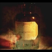 Blackfield - Blackfield in der Gruppe UNSERE TIPPS / Weihnachtsgeschenktipp CD bei Bengans Skivbutik AB (5518207)