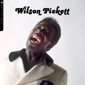 Wilson Pickett - Now Playing in der Gruppe UNSERE TIPPS / Weihnachtsgeschenktipp Vinyl bei Bengans Skivbutik AB (5518546)