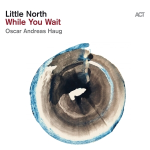 Little North - While You Wait in der Gruppe UNSERE TIPPS / Weihnachtsgeschenktipp Vinyl bei Bengans Skivbutik AB (5519542)