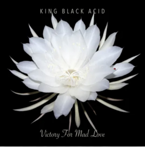 King Black Acid - Victory For Mad Love (Rsd) - IMPORT in der Gruppe UNSERE TIPPS / Record Store Day / RSD24-Ams bei Bengans Skivbutik AB (5520067)