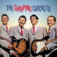 Crickets - The Chirping Crickets in der Gruppe UNSERE TIPPS / Freitagsveröffentlichungen / Fredag den 8:e Mars 2024 bei Bengans Skivbutik AB (5520657)