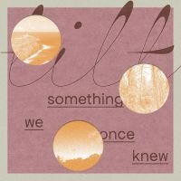 Tilt - Something We Once Knew in der Gruppe VINYL / Jazz bei Bengans Skivbutik AB (5521929)