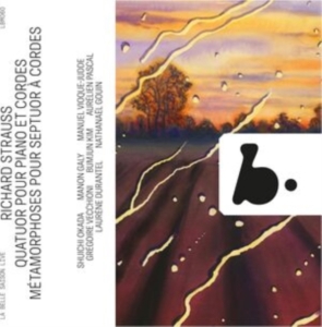 Richard Strauss - Quatuor Pour Piano Et Cordes - Meta in der Gruppe CD / Klassiskt bei Bengans Skivbutik AB (5522090)