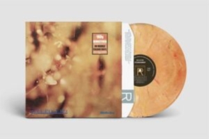 Steamhammer - Reflection (Marble Vinyl) in der Gruppe VINYL / Pop-Rock bei Bengans Skivbutik AB (5522236)