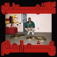 Shabazz Palaces - Robed In Rareness in der Gruppe UNSERE TIPPS / Weihnachtsgeschenktipp CD bei Bengans Skivbutik AB (5522811)