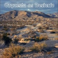 Orquesta Del Desierto - Orquesta Del Desierto in der Gruppe UNSERE TIPPS / Freitagsveröffentlichungen / Fredag den 14:e Juni 2024 bei Bengans Skivbutik AB (5535794)