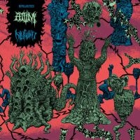 Diskord/Atvm - Bipolarities (Split - Digipack) in der Gruppe UNSERE TIPPS / Freitagsveröffentlichungen / Fredag den 12:e Juli 2024 bei Bengans Skivbutik AB (5539501)