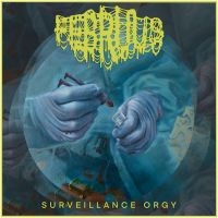 Februus - Surveillance Orgy (Digipack) in der Gruppe UNSERE TIPPS / Weihnachtsgeschenktipp CD bei Bengans Skivbutik AB (5539502)