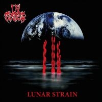 In Flames - Lunar Strain in der Gruppe UNSERE TIPPS / Weihnachtsgeschenktipp Vinyl bei Bengans Skivbutik AB (5539840)