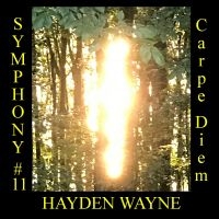 Hayden Wayne - Symphony #11: Carpe Diem in der Gruppe UNSERE TIPPS / Freitagsveröffentlichungen / Fredag den 7:e Juni 2024 bei Bengans Skivbutik AB (5549782)