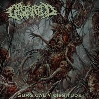 Castrated - Surgical Vicissitude in der Gruppe CD / Hårdrock bei Bengans Skivbutik AB (5555842)