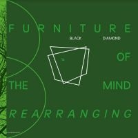 Black Diamond - Furniture Of The Mind Rearranging in der Gruppe UNSERE TIPPS / Freitagsveröffentlichungen / Fredag den 26:e Juli 2024 bei Bengans Skivbutik AB (5556554)