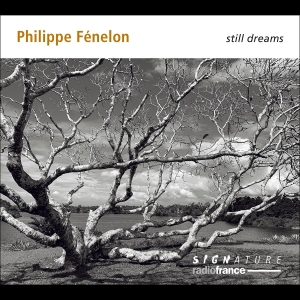 Philippe Fénelon - Still Dreams in der Gruppe UNSERE TIPPS / Freitagsveröffentlichungen / Fredag den 23:e augusti bei Bengans Skivbutik AB (5558110)