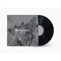 Gallhammer - End The (Vinyl Lp) in der Gruppe UNSERE TIPPS / Freitagsveröffentlichungen / Fredag den 2:e augusti bei Bengans Skivbutik AB (5558276)