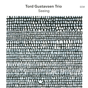 Tord Gustavsen Trio - Seeing in der Gruppe UNSERE TIPPS / Freitagsveröffentlichungen / Fredag den 4:e oktober 2024 bei Bengans Skivbutik AB (5558451)