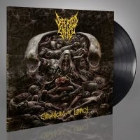 Defeated Sanity - Chronicles Of Lunacy (Vinyl Lp) in der Gruppe UNSERE TIPPS / Freitagsveröffentlichungen / Freitag der 22 November 2024 bei Bengans Skivbutik AB (5562095)