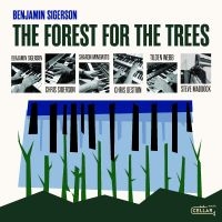 Benjamin Sigerson - The Forest For The Trees in der Gruppe UNSERE TIPPS / Freitagsveröffentlichungen / Fredag den 20:e september 2024 bei Bengans Skivbutik AB (5562324)