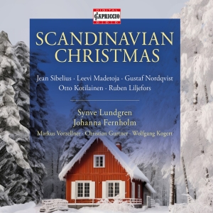 Synve Lundgren Johanna Fernholm - Scandinavian Christmas in der Gruppe UNSERE TIPPS / Freitagsveröffentlichungen / Fredag den 4:e oktober 2024 bei Bengans Skivbutik AB (5562970)