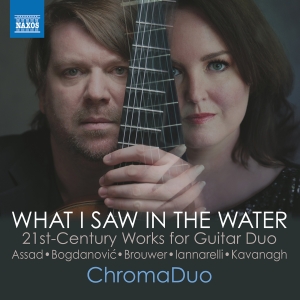 Chromaduo - What I Saw In The Water in der Gruppe UNSERE TIPPS / Freitagsveröffentlichungen / Fredag den 11:e oktober 2024 bei Bengans Skivbutik AB (5563083)