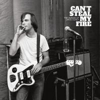 Various Artists - Can't Steal My Fire: The Songs Of D in der Gruppe UNSERE TIPPS / Freitagsveröffentlichungen /  bei Bengans Skivbutik AB (5563961)