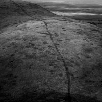 Craven Faults - Bounds in der Gruppe UNSERE TIPPS / Freitagsveröffentlichungen / bei Bengans Skivbutik AB (5565026)