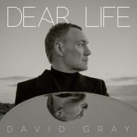 David Gray - Dear Life in der Gruppe Övrigt /  bei Bengans Skivbutik AB (5565975)