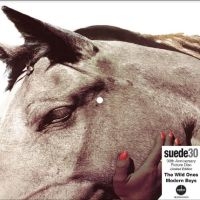 Suede - The Wild Ones (30Th Anniversary Edi in der Gruppe UNSERE TIPPS / Freitagsveröffentlichungen / Freitag den 8 November 2024 bei Bengans Skivbutik AB (5567988)