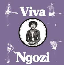 Paul  Ngozi - Viva Ngozi (Opaque Orange Vinyl) (Rsd) in der Gruppe Övrigt /  bei Bengans Skivbutik AB (5568345)